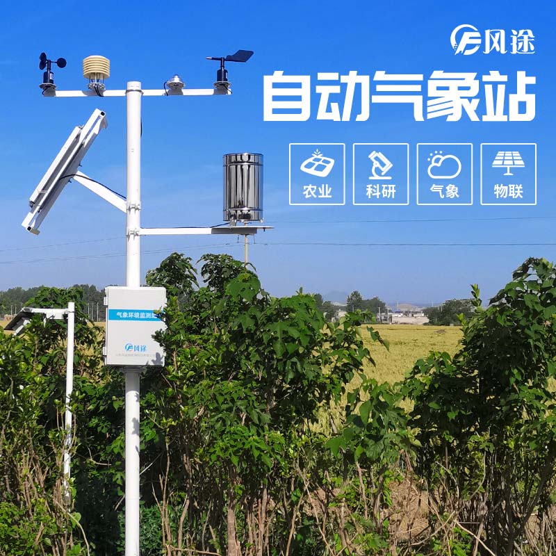 小麥穗期病蟲害如何監(jiān)測(cè)？
