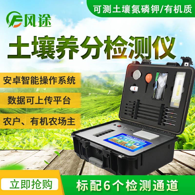 大棚移栽定植，要做好土壤養分的補充